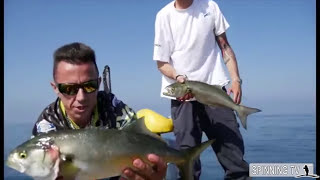 SPINNING AL SERRA  LEZIONE di PESCA CON ARTIFICIALI AL PESCE SERRA DALLA BARCA con canne Tubertini [upl. by Yar384]