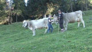 Arbeiten auf der Alm – Almhütten in Tirol Österreich 🐮 [upl. by Aramenta]