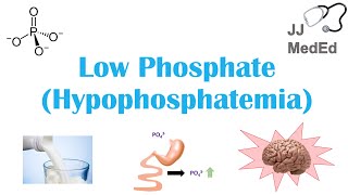 Low Phosphate Hypophosphatemia Causes Symptoms Treatment  amp Role of Phosphate Dietary Sources [upl. by Hoang441]