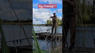 BACK IN ACTION carp carping fish fishing angling carpfishing catch catchandrelease karpfen [upl. by Pitchford48]