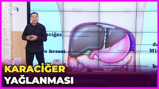 Karaciğer Yağlanması Nasıl Geçer  Dr Feridun Kunak Show  21 Mart 2019 [upl. by Enilhtak]