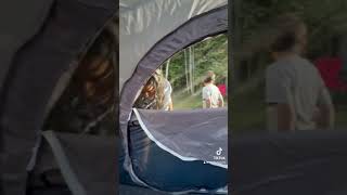 Coleman tent for 9 person tent camping night [upl. by Amo]