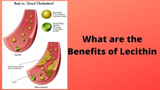 What are the Benefits of Lecithin [upl. by Aiykan]