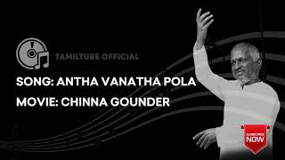 Antha Vanatha Pola High Quality Audio Song  Chinna Gounder  Vijayakanth  Suganya  Ilayaraja [upl. by Katinka]