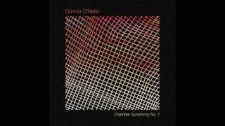 Chamber Symphony No 1 by Connor DNetto [upl. by Dnilasor]