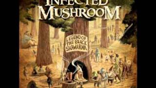 Infected Mushroom  Cant Stop [upl. by Oiramad]