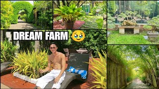 FARM TOUR SA SIKAT NA FARM SA PAMPANGA 😮🌿 DREAM FARM [upl. by Tloh]