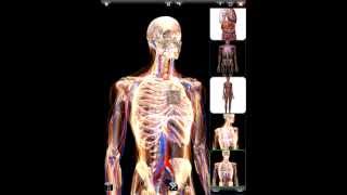 ZYGOTE 3D ANATOMY ATLAS amp DISSECTION LAB APP  Rendering [upl. by Adehsar]