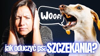 Jak oduczyć psa SZCZEKANIA [upl. by Duff]