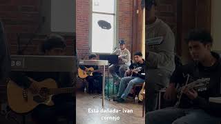 Está Dañada Ivan Cornejo cover [upl. by Kallista]