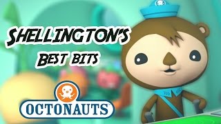 Octonauts  Shellington Sea Otter  60 minutes  Character Best Bits [upl. by Aneema]