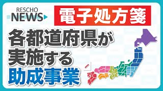 【電子処方箋】各都道府県が実施する助成事業について [upl. by Oeram348]