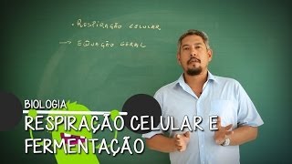 O que é Mitocôndria  Extensivo Biologia  Descomplica [upl. by Aihsekat]