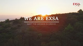 Meet The Grower in Greece  EXSA Europe [upl. by Saire71]