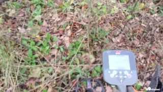 Metal Detecting Tips and Tricks  CTX 3030 [upl. by Acinet434]