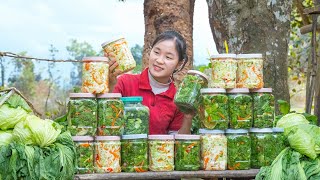 Making PICKLED CABBAGE goes to the market sell  Ella Daily Life [upl. by Wolsniw]