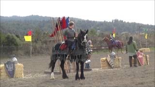 American Jousting Alliance  Excalibur Medieval Tournament  Arcata CA [upl. by Eldrida]