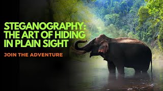 Steganography The Art of Hiding in Plain Sight [upl. by Eisenberg]