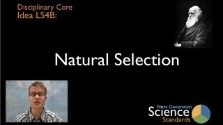 LS4B  Natural Selection [upl. by Symon]