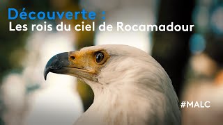 Découverte  les rois du ciel de Rocamadour [upl. by Cohin]