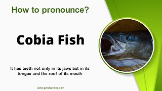 How to pronounce Cobia Fish Correctly in English [upl. by Cannice]