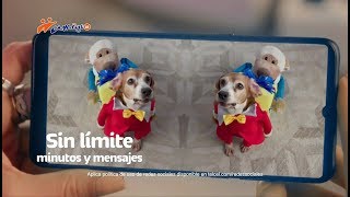 TELCEL Amigo Kit  Ponte en Modo Navidad 2019 [upl. by Anawit]