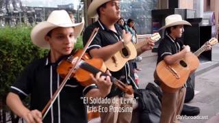 Trío Eco Potosino  La Petenera y el Soldado de Levita [upl. by Ailehc]