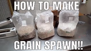 How to Propagate Mushroom Spawn  Grain to Grain Transfer [upl. by Iz]