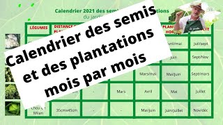 Calendrier des semis et des plantations mois par mois [upl. by Elleron]