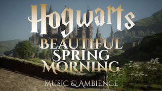 Beautiful Spring Morning on Hogwarts Grounds  Hogwarts Legacy Harry Potter Ambience [upl. by Aibos]