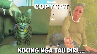 KISAH KUCING CAPER YANG DIRAWAT OLEH SEORANG NENEK YANG SAKIT CopyCat [upl. by Cheryl]