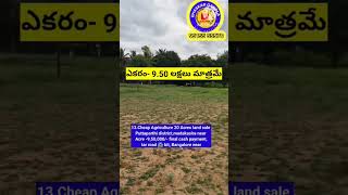 Agriculture 20 Acres land sale Puttaparthi district  madakasira near Acre 950000 final cash [upl. by Nereen574]