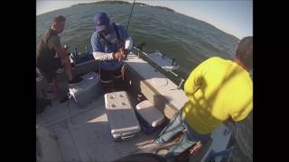 Perch Charter on Lake Erie [upl. by Cornelius]