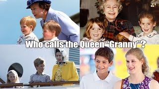 Meet Queen Elizabeth IIs Grandchildren [upl. by Oicangi]