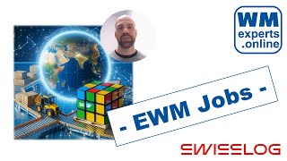 EWM Jobs  Service Engineer at Swisslog  Working with EWM and the future of warehousing [upl. by Dniren]