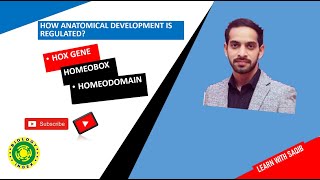 Hox Gene I Homeodomain Proteins I Homeobox Gene I Developmental Biology by Saqib jawad [upl. by Mirna]