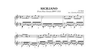 Bach  Siciliano  Piano [upl. by Niwrud]