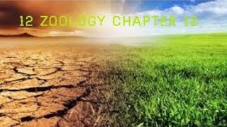 Eutrophication 12 th zoology chapter 12 in Tamil [upl. by Pitzer]