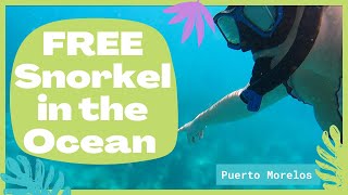 Free Snorkeling in Puerto Morelos Mexico  Cenóte in the OCEAN [upl. by Dulcia]