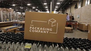 Who is The Packaging Company [upl. by Daren]