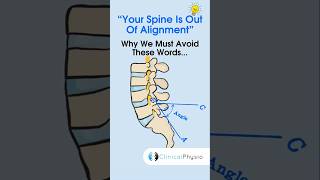 Spinal Alignment physicaltherapy physiotheraphy spinealignment [upl. by Jadd810]