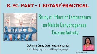 Study of Effect of Temperature on Enzyme Malate Dehydrogenase Activity [upl. by Zannini]