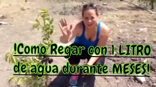 Cómo regar tus plantas con un litro de agua durante meses FACIL RAPIDO ECONOMICO RIEGO SOLAR [upl. by Anielram]