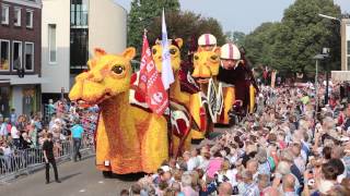 Bloemencorso Zundert 2014 [upl. by Enirehtak]