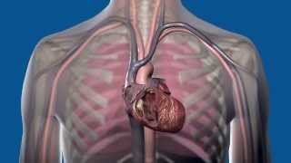 How do different cardiac rhythm devices work [upl. by Nyrad]