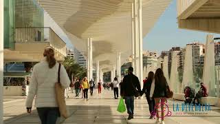 Museo Alborania  Aula del Mar un lugar ideal en Málaga para visitar con niños [upl. by Sadye]