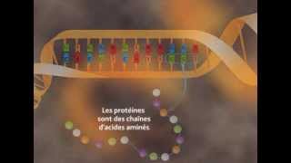 Les effets des rayonnements sur la santé [upl. by Nwahc]