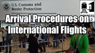 What is the Arrival Procedure on an International Flight [upl. by Mahoney556]