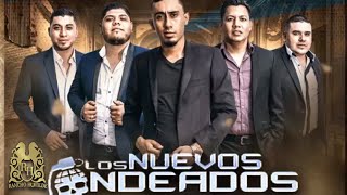 13 Los Nuevos Ondeados  El Gerente Official Audio [upl. by Erdna99]