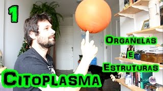 Organelas Citoplasmáticas Parte 1  Citoplasma [upl. by Westbrooke]